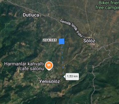 BURSA ORHANGAZİ YENİSÖLÖZ MAH. 310M² ZEYTİNLİK SATILIK - BURSA ORHANGAZİ fotoğraf 2